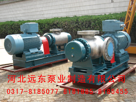 雙螺(luó)杆泵