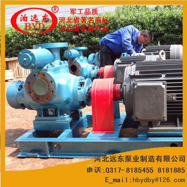 雙螺(luo)杆泵