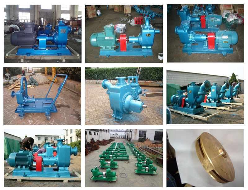 自(zi)吸油泵(bèng)