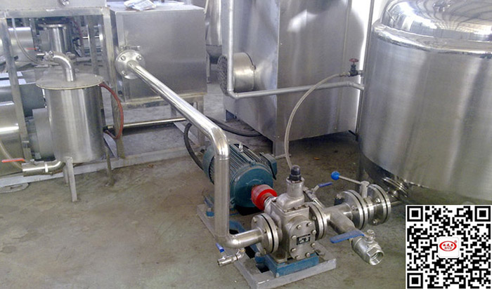 不鏽(xiù)鋼齒輪泵