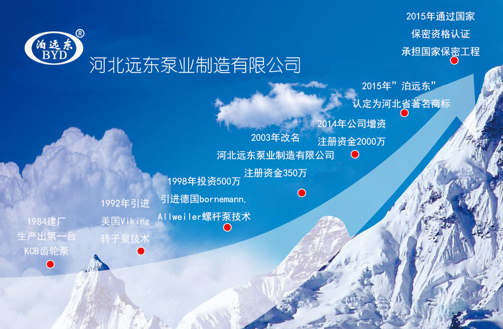 芜湖韦纳计算机设备集团(H5网站)發展(zhǎn)曆程